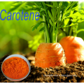 Natural carrot juice powder/Beta-Carotene CAS NO. 7235-40-7